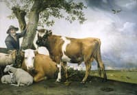 The Bull