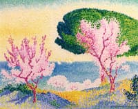 Pink Spring