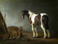 A Horse with a Saddle Beside it