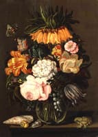 Still life with flowers, shells and a frog