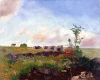 The Moors