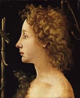 The Young Saint John the Baptist