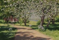 Orchard in Bloom
