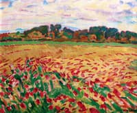 Field of Poppies in Normandy