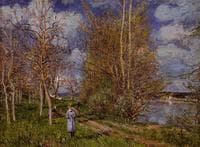 The Small Meadow In Spring