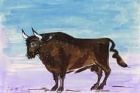 Bull