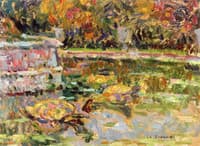 Turtles in the Basin at Latone