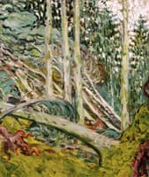 The Forest