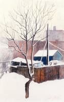Winter Backyards