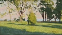 Summer landscape