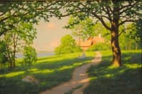 Children in summer landscape