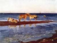 Horses on a Shore