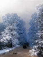 Winter Landscape