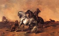 Scene in a Desert