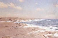 The Rocky Coast
