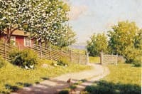 Cottage in early summer greenery