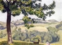 Landscape in the South of France