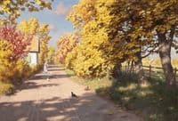 Feeding the Chickens, Autumn