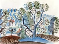 Olive Trees in Provence