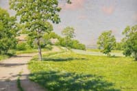 Summer landscape