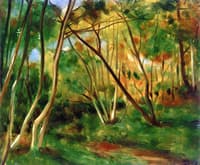 In the Woods
