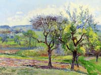 Spring Landscape