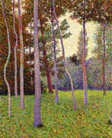 Forest Scene
