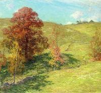 The Red Oak (no.2)