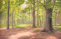 The Forest