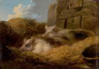 Two Pigs in Straw