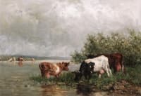 Watering Cows