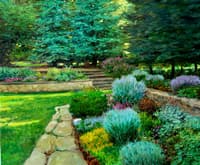 Formalm Garden