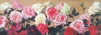 White, Pink and Red Roses