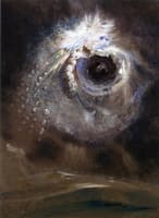 Eye of the Storm