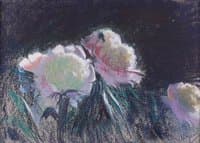 Peonies