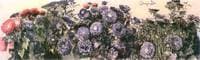 China Asters