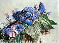 Exotic Flowers