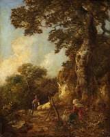 A Woodland Scene