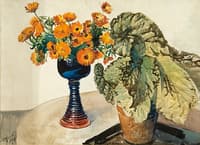 Marigolds and begonias