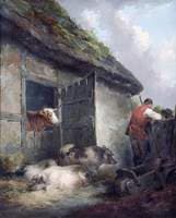 Farmyard