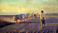 Plowing in Ukraine