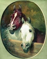 Two Horses