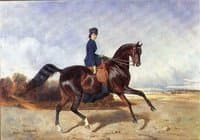 A.N. Panaeva on Horseback