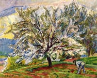 Tree in Spring