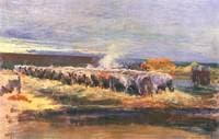 Oxen at the waterhole