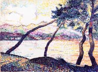Umbrella Pines, Sainte-Maxime