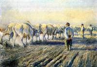 Plowing in Ukraine
