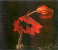 Poppies