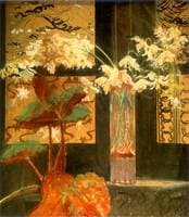 Orchids