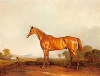 A Chestnut Hunter in a Landscape